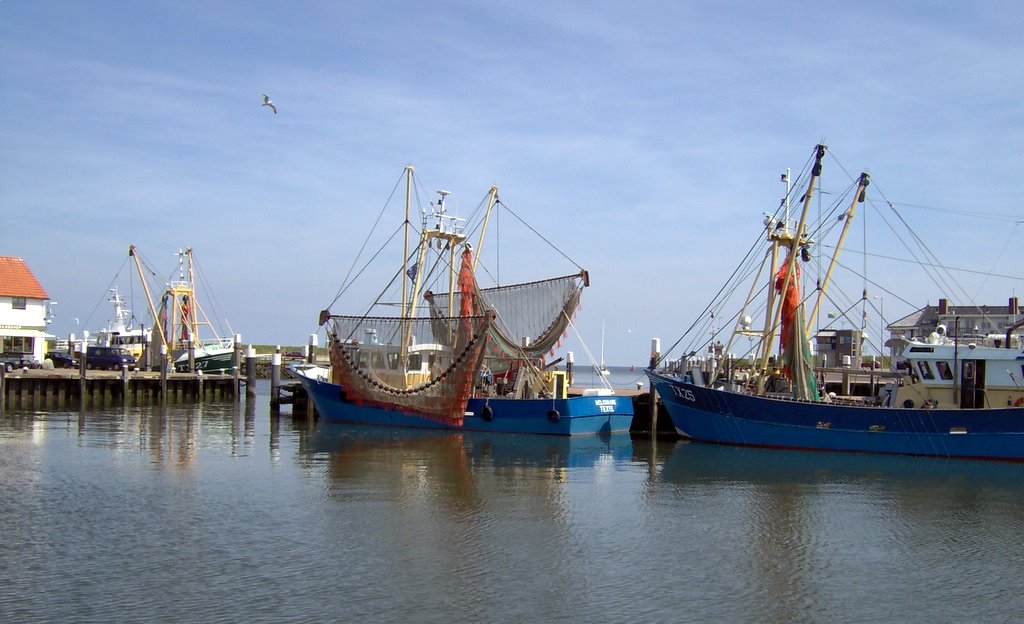 Fishing boat-Oudescild, Texel by Dieuwertje