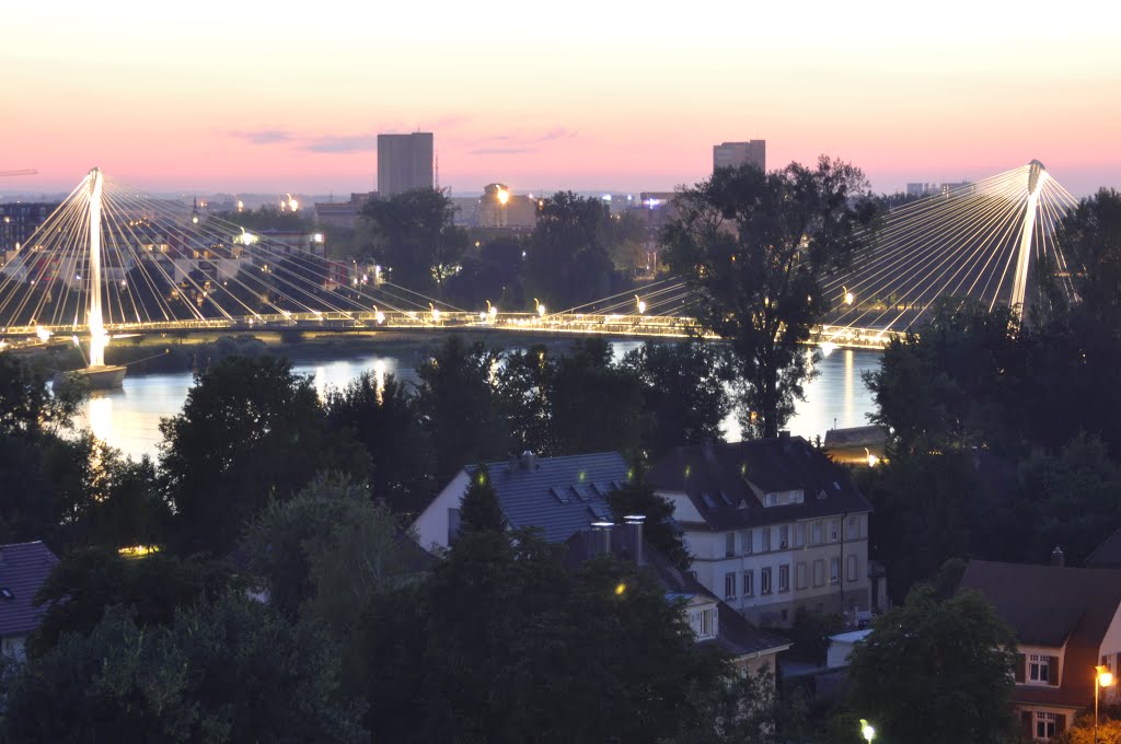 Brug tussen kehl en strassbourg by danny arnoldus