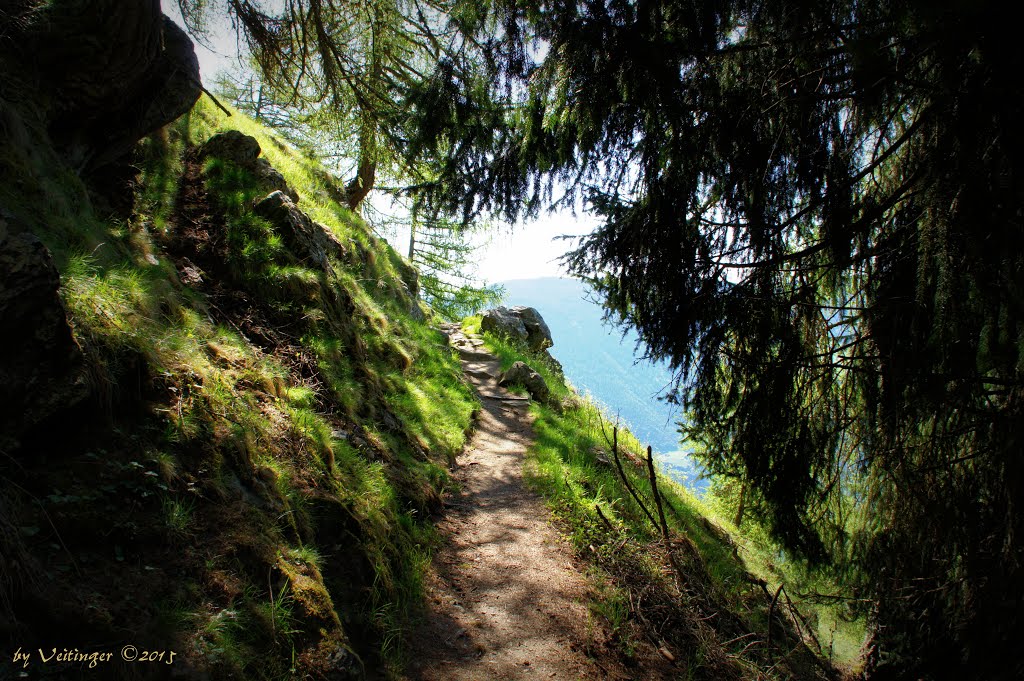 Meraner Höhenweg am Giggelberg by Veitinger Germany