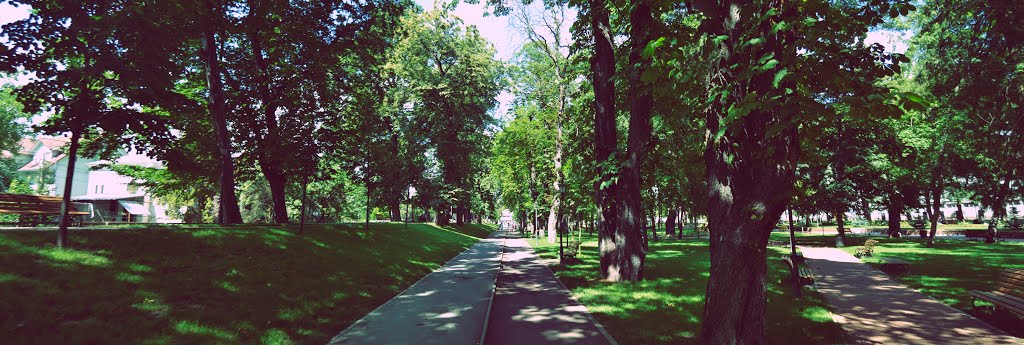 Bistrita Park Panorama by andinomm