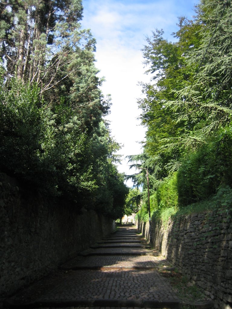 Bergamo, Province of Bergamo, Italy by Rafael Latorre