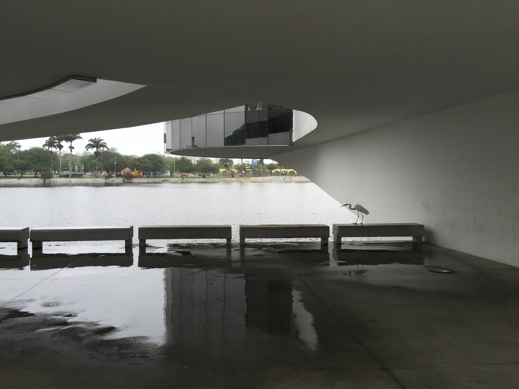 Estrutura do Museu de Arte Popular da Paraíba, Açude Velho - Um dia de passeio em Campina Grande - PB, Brasil by Dedé de Zé Luca