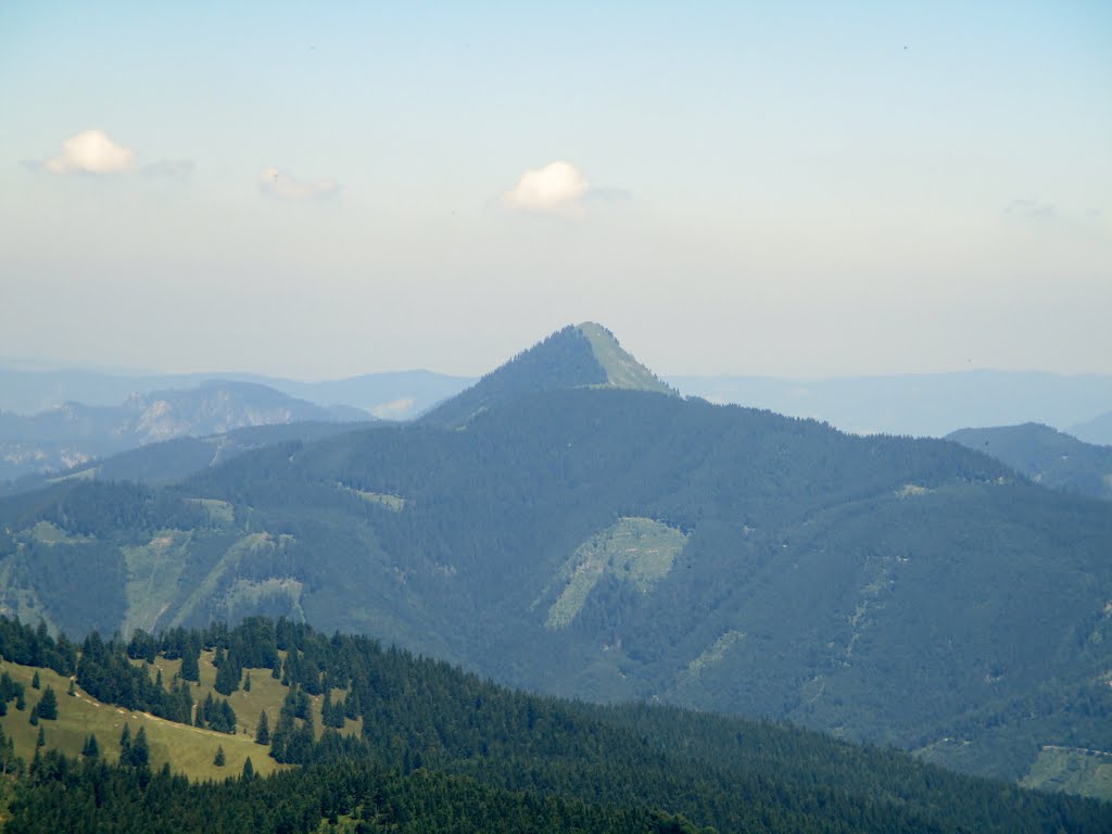 Blick zum Faistenauer Schafberg (1559m) by Daniel Gruber