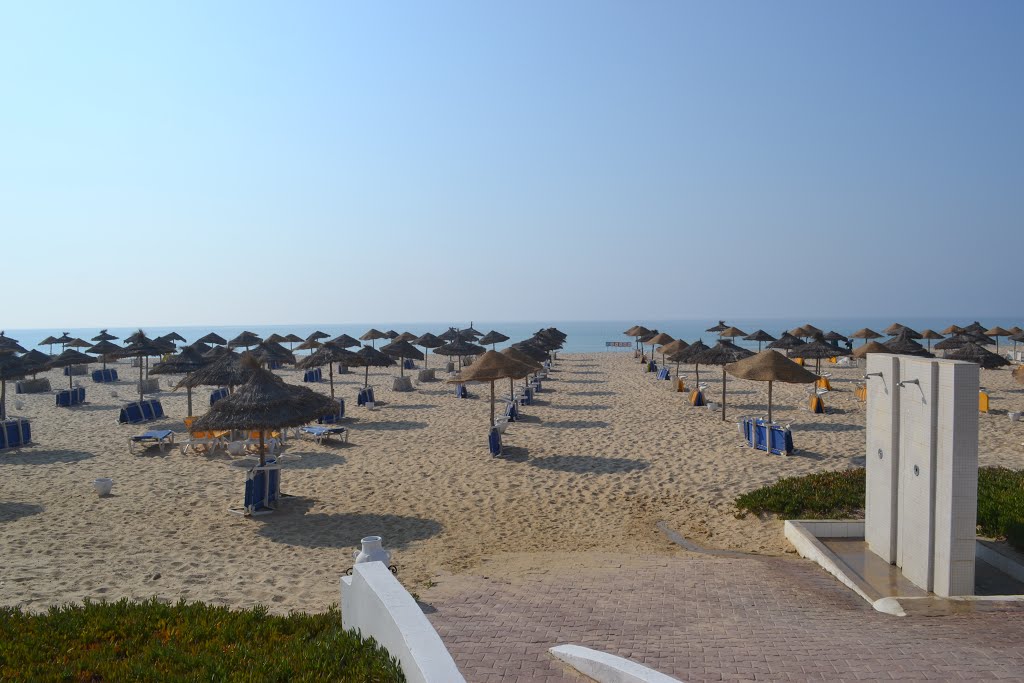 The beach and parasols by pierre7748