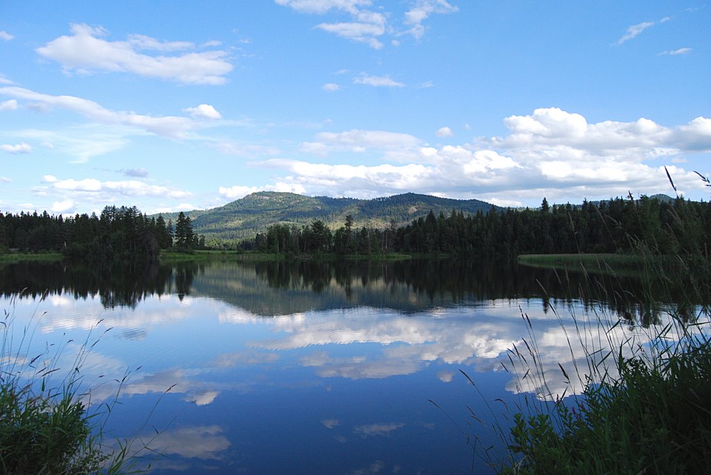 Cocolalla Slough by cgmueller