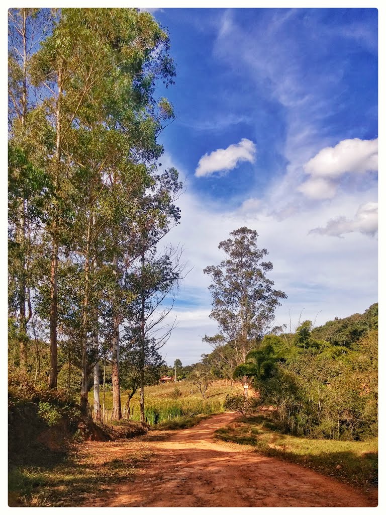 Bonfim - State of Minas Gerais, Brazil by Márcio de Souza Agui…