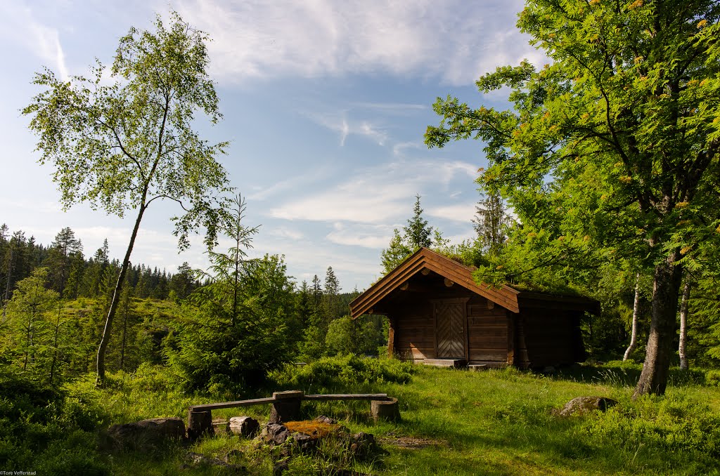 Engelstadvangen by Tore Vefferstad