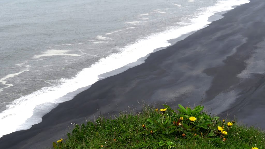 Black sand beach below lighthouse cliffs at Dyrhólaey, near Vik, Iceland by John Eby