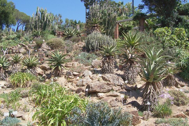 Jardín botánico en Blanes by Víctor Cespón