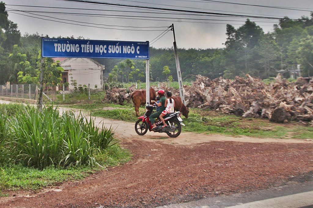 Tân Hòa, Tân Châu, Tây Ninh, Vietnam by Đăng Định