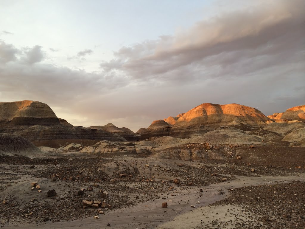 Painted Desert, Petrified Forest National Park by zachalan2012