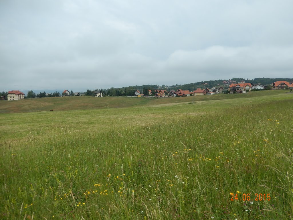 "Zlatibor" by Z.Stojanović.Graovo.…