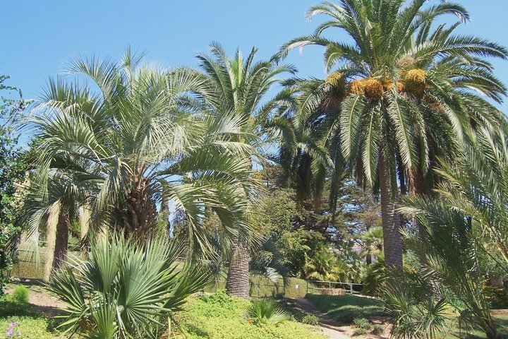 Jardín botánico en Blanes by Víctor Cespón