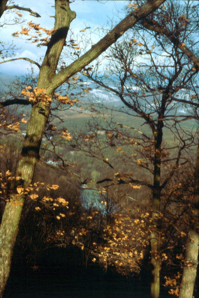 Börzsöny mountains - view from Királyrét, Hungary by Peter Kesselyak