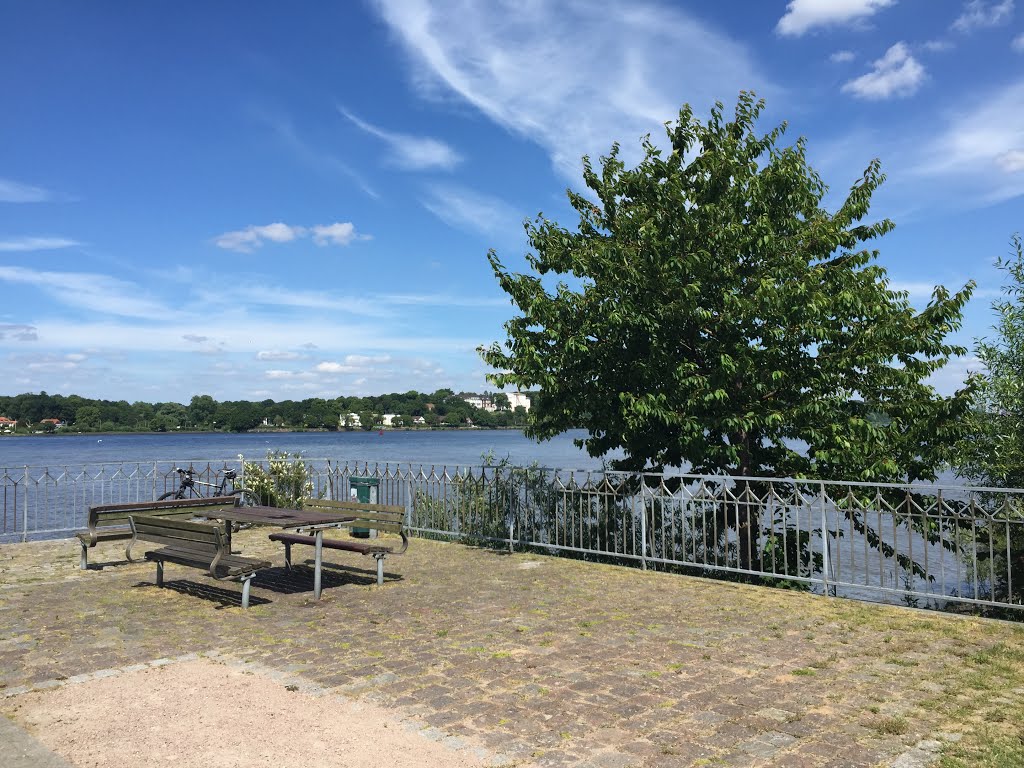 07.2015 - Aussichtsterrasse in Finkenwerder by photo.graf