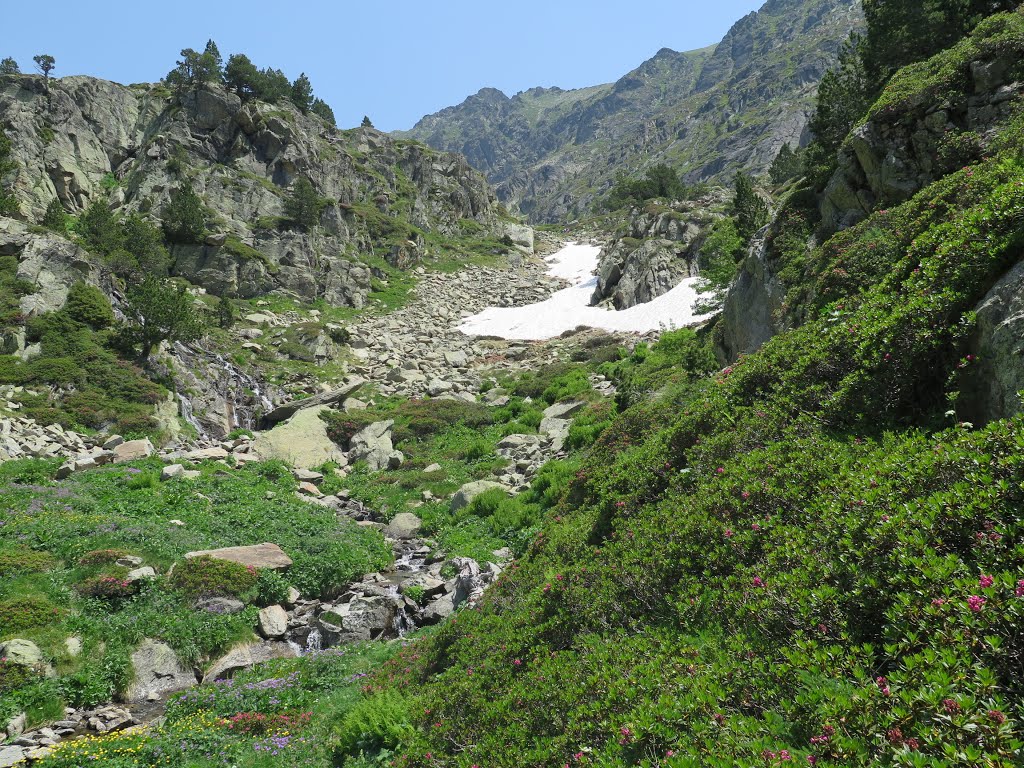 Ctra. de la Vall d'Incles, AD100 Canillo, Andorra by codina.ramon@gmail.c…