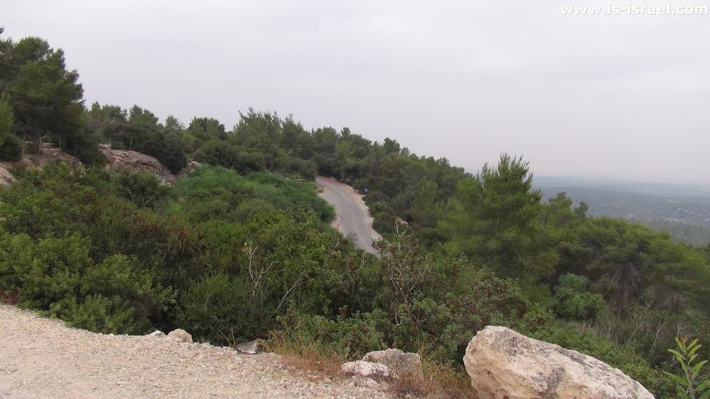 Judean Foothills, Israel by Igor Skorubsky