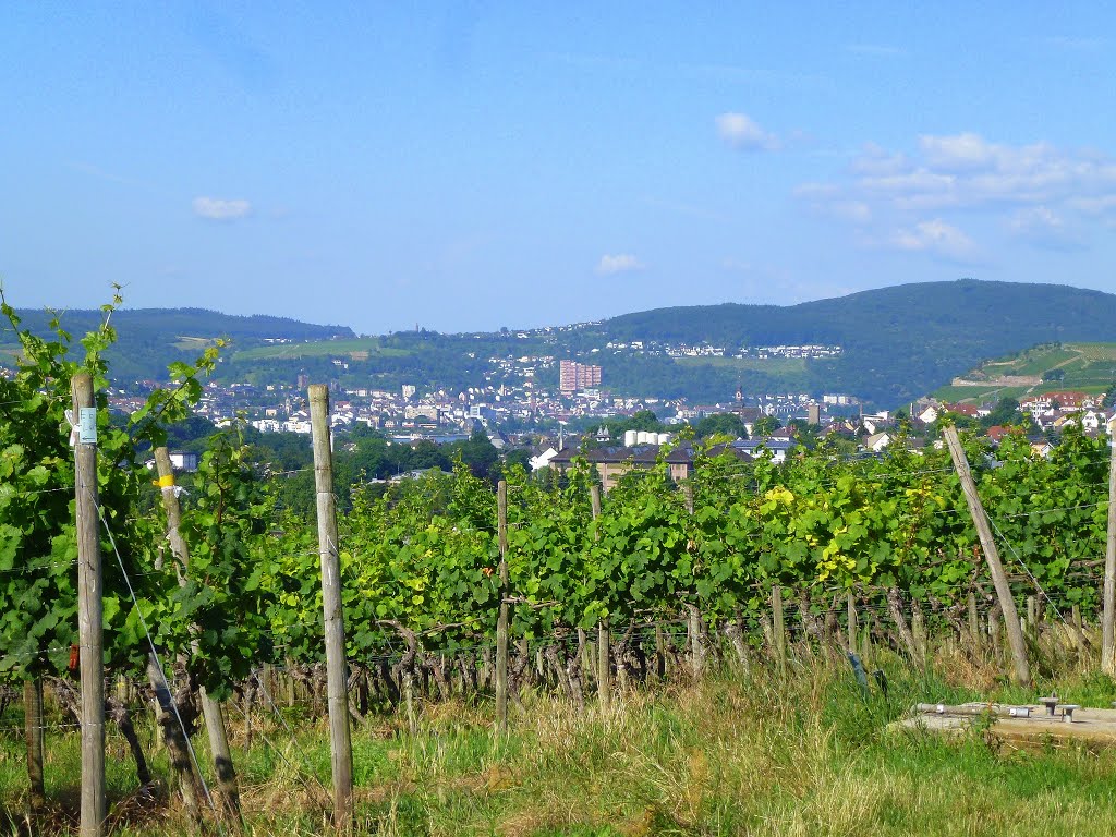 Geisenheim: View across the vineyards to Bingen, Bingerbrück and Weiler / Rhine Valley by Jürgen Weighardt