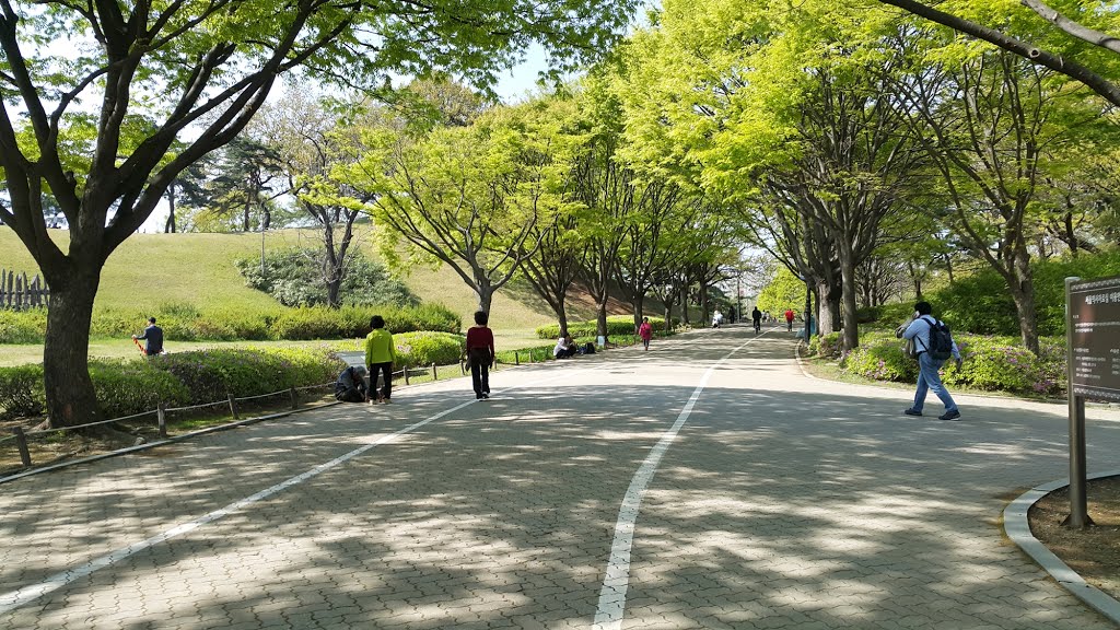 Seoul Olympic Park by Gosotopo