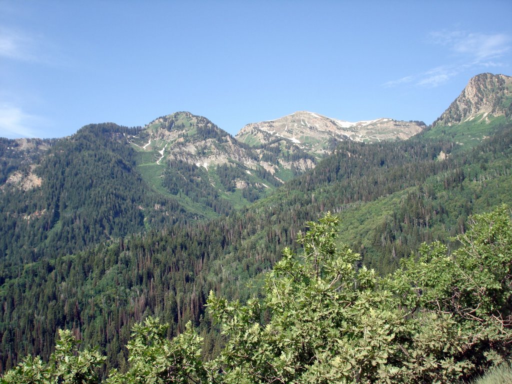 Box Elder Peak by Mike Albert