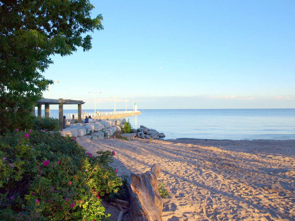 Farewell, Oshawa, ON, Canada by Aris Patelos