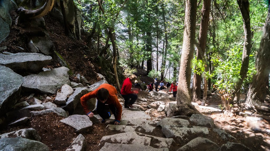 Climbing Up the Trail by Brock S.