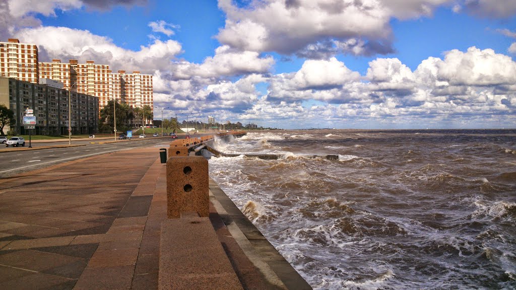 Barrio Sur, 11100 Montevideo, Montevideo Department, Uruguay by Pietro Rebufello