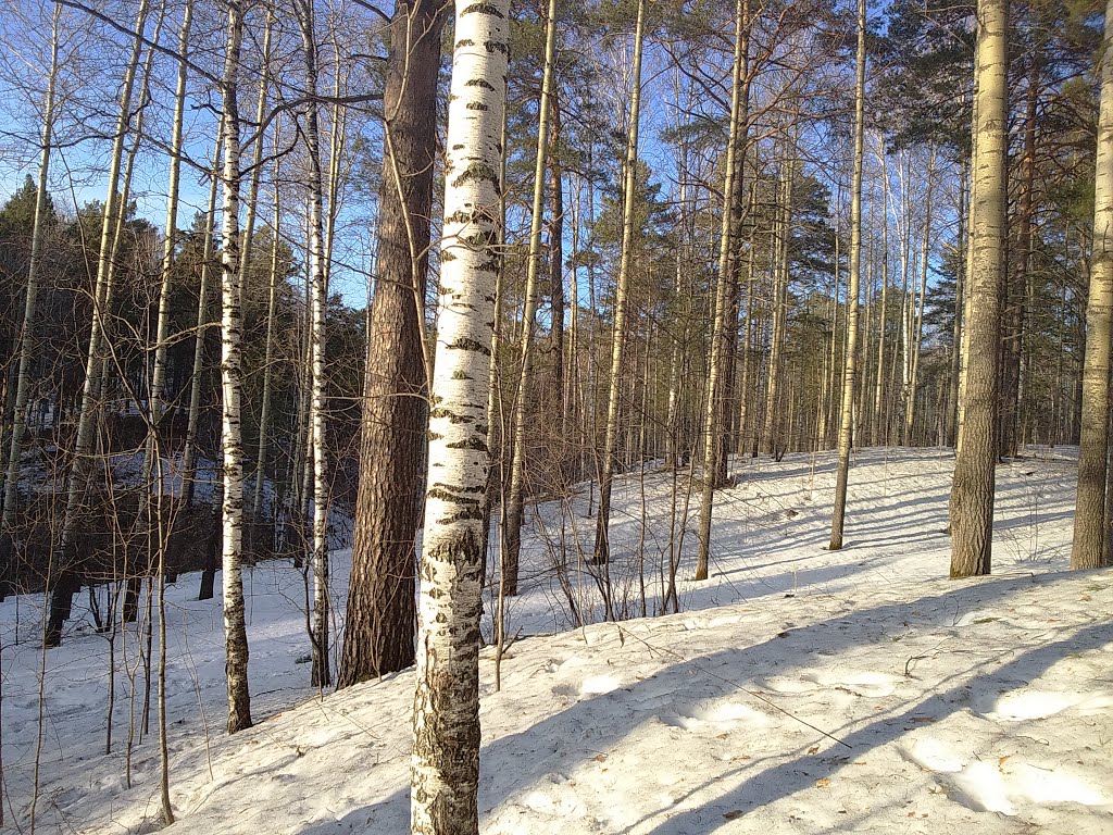 Советский район (2015 год) by Белолит - Центр найм…