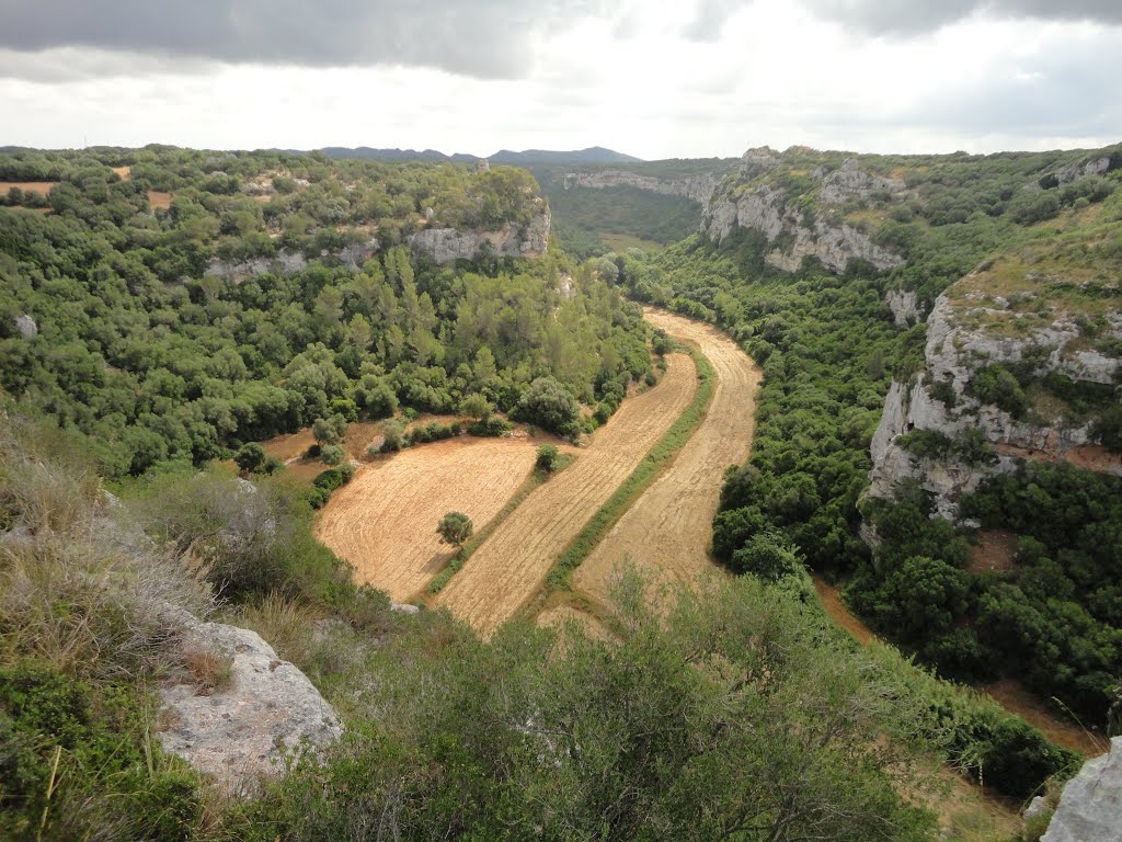 Valley View by Greenhouseblues