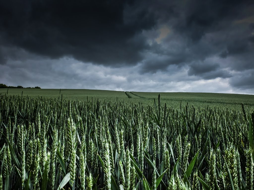 Basildon District, UK by SILENTAPHID K