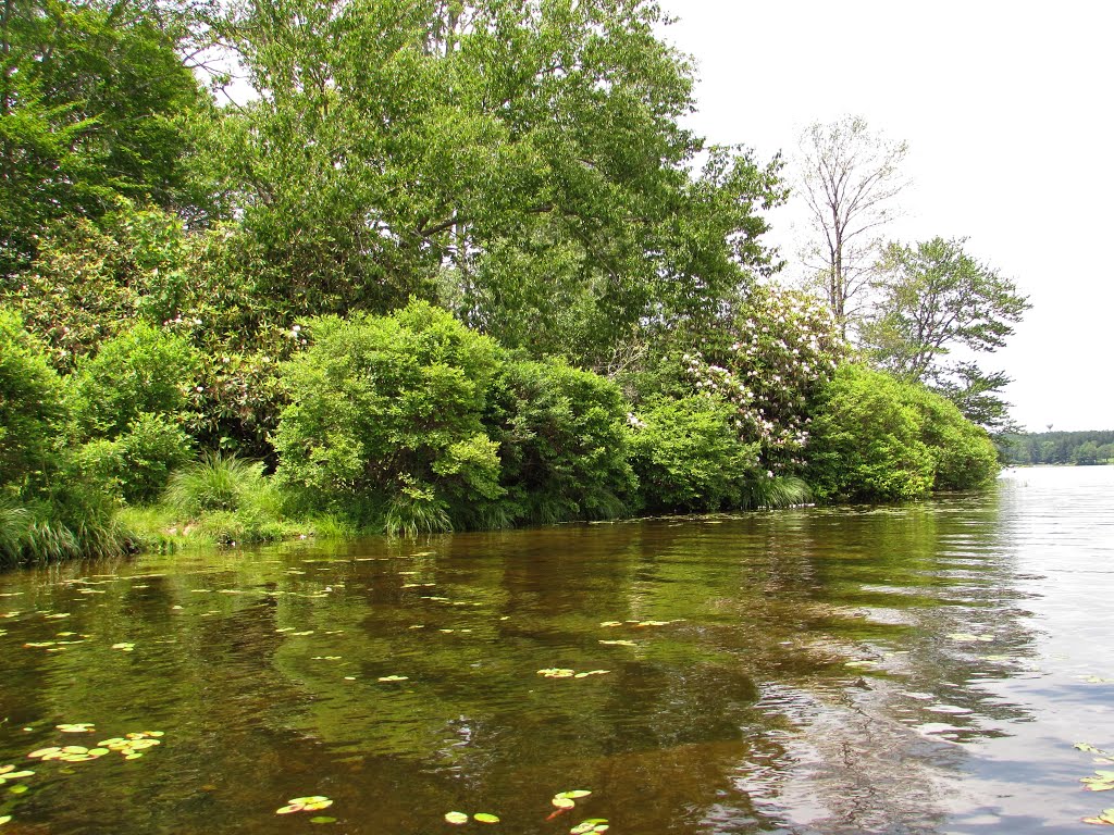 Greene Township, PA, USA by Chris Sanfino