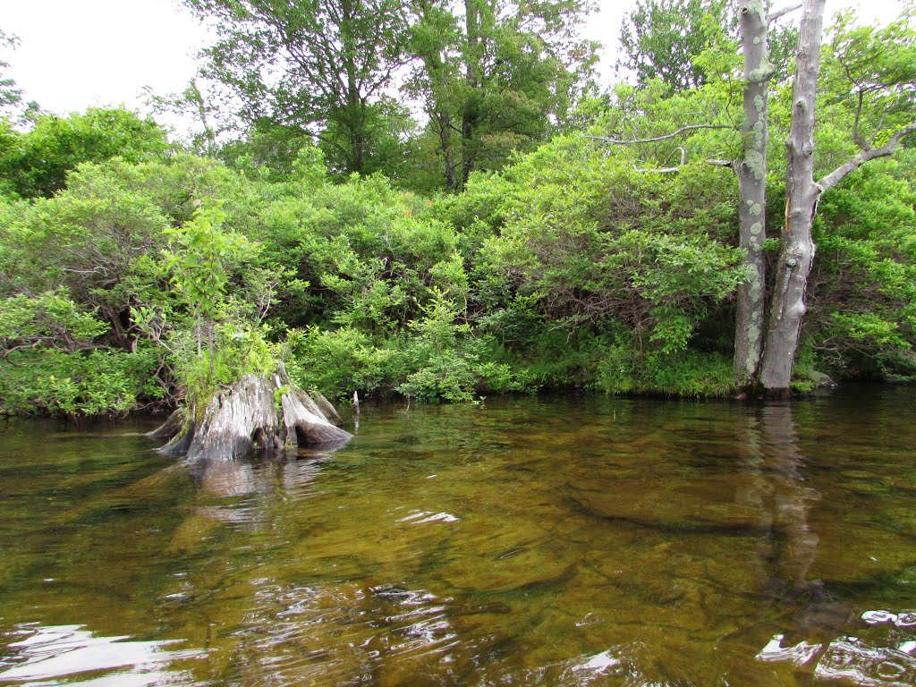 Greene Township, PA, USA by Chris Sanfino