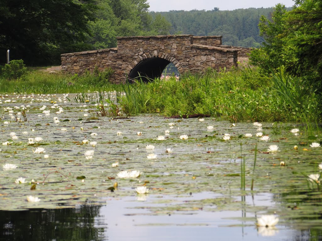 Greene Township, PA, USA by Chris Sanfino