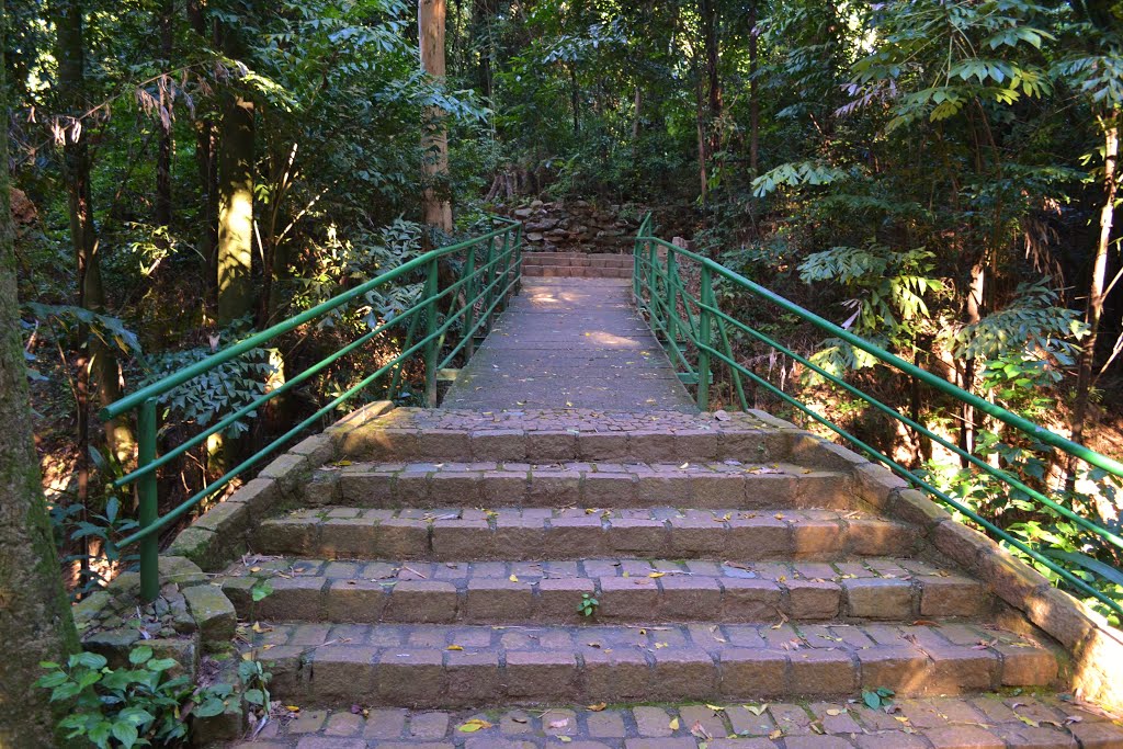 Bosque, Campinas - SP, Brazil by Rafael Henrique Meir…