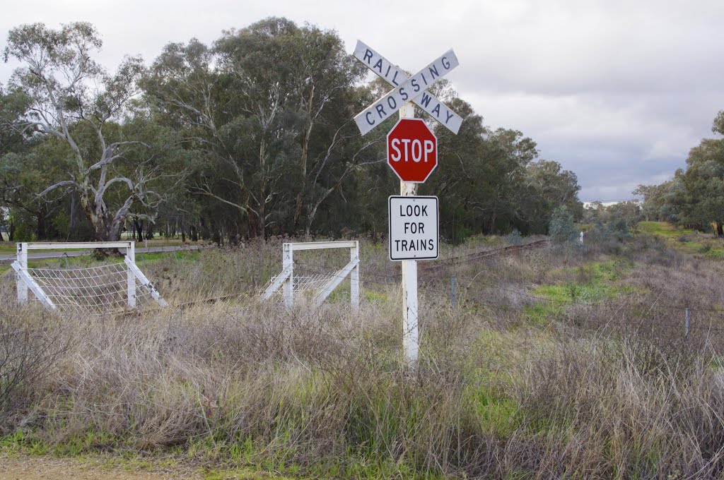 The trains have stopped, do cars still have to stop? by James Vickers