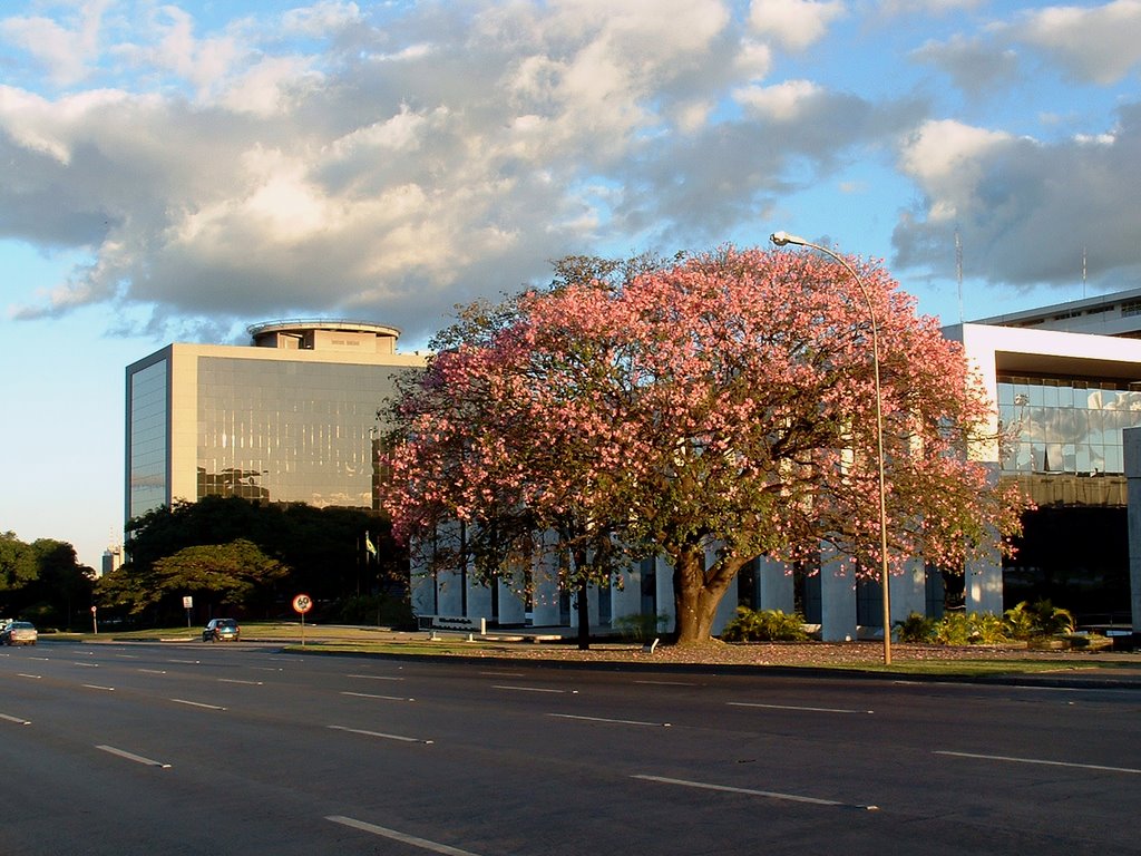 Tribunal de Justiça - Brasília/DF by Bruno W. Pimenta