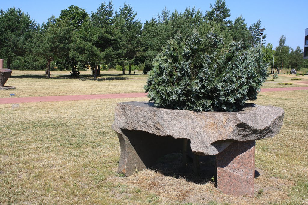 Šventoji,"Table for wood" by Augustinas Plikis