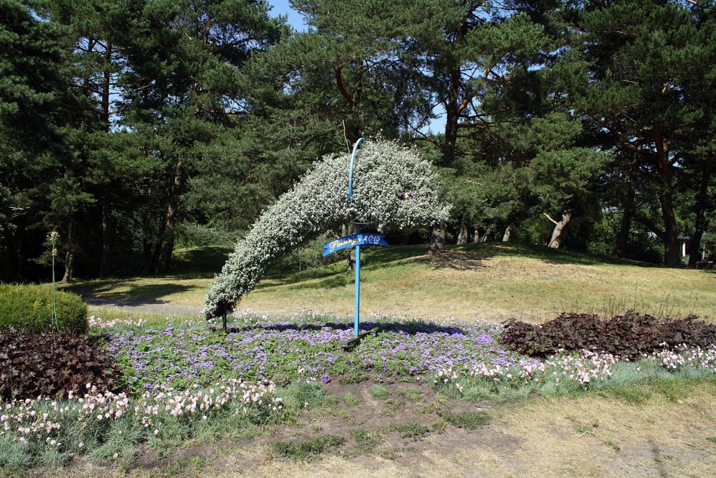 Palanga, Lithuania by Augustinas Plikis