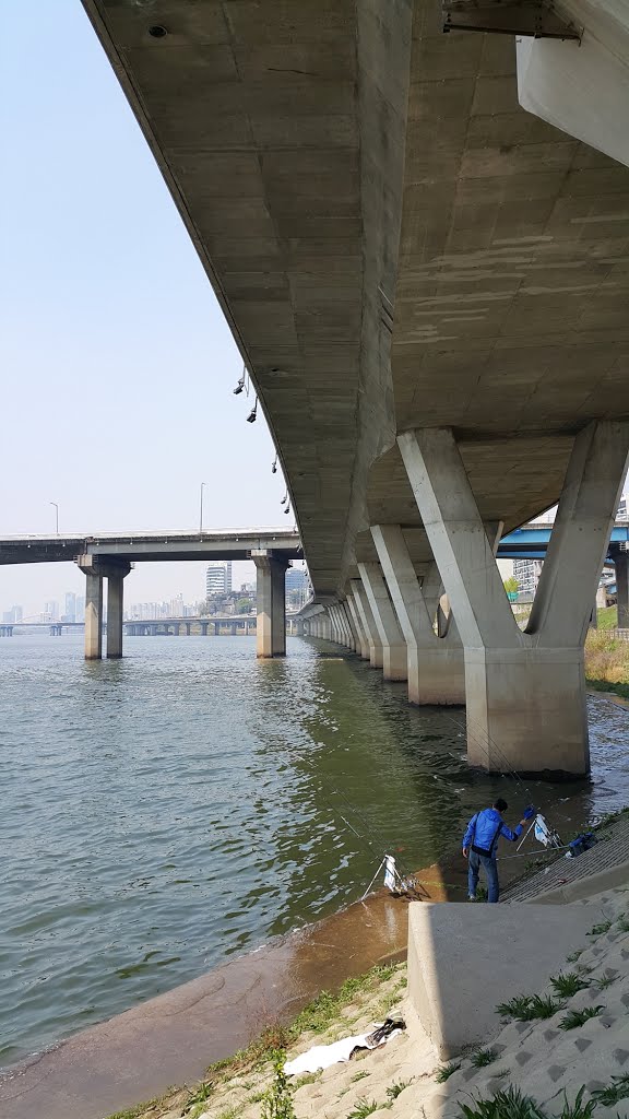 Under the Wonhyo daegyo (bridge) by Gosotopo