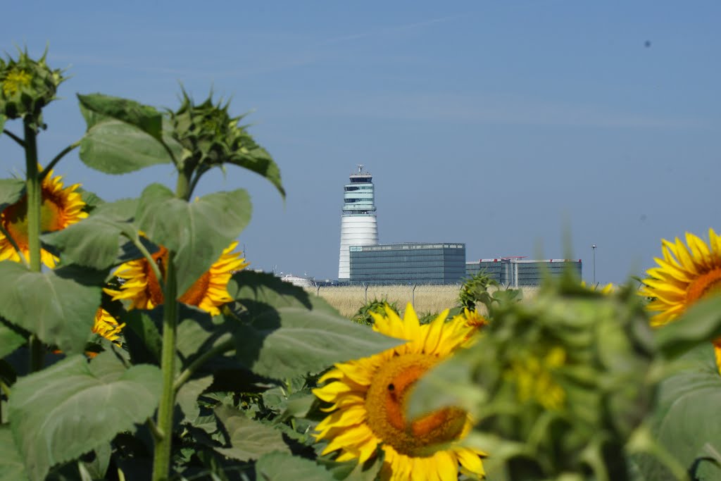 Vienna Airport by Michal Marienka