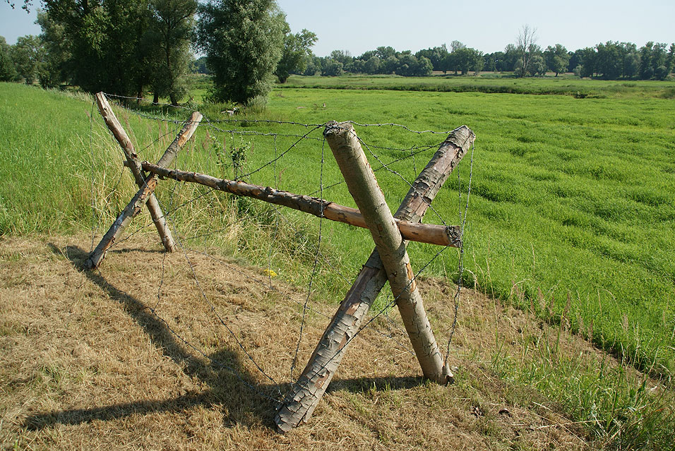 POZYCJA ŚRODKOWEJ ODRY - SKANSEN FORTYFIKACJI CZERWIEŃSK - ODCINEK CZERWIEŃSK - SCHRON NR 765 by Łukasz Świetlik