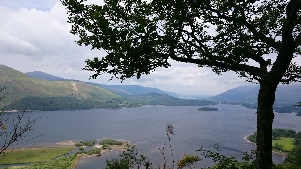 Borrowdale, UK by G Ewing