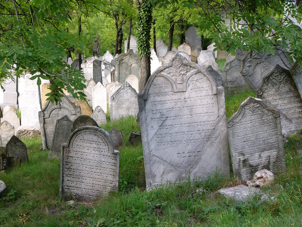 Mikulov Jewish cemetery by macka