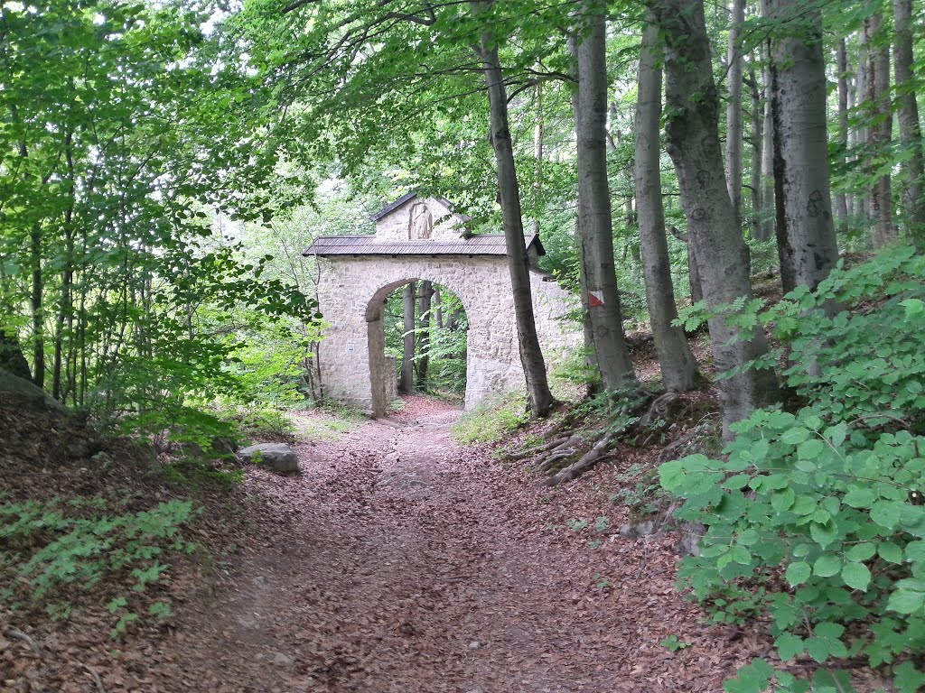 Krzeszowice, Poland by Przemek Janas