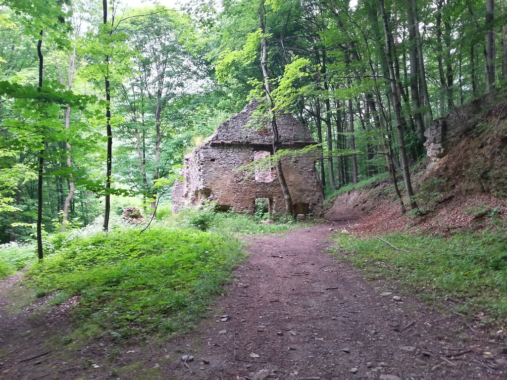 Paczółtowice, Poland by Przemek Janas