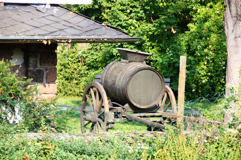 65385 Rüdesheim am Rhein, Germany by Fuchs -3