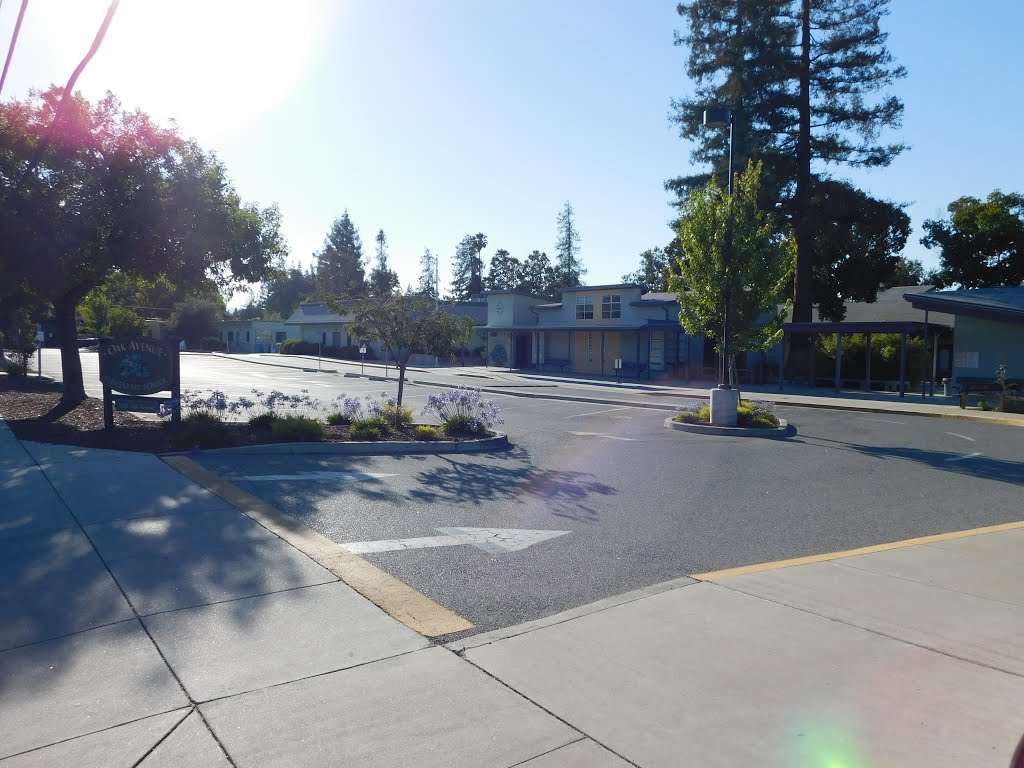 Oak Avenue Elementary School, Los Altos, CA by ucdgrad2003