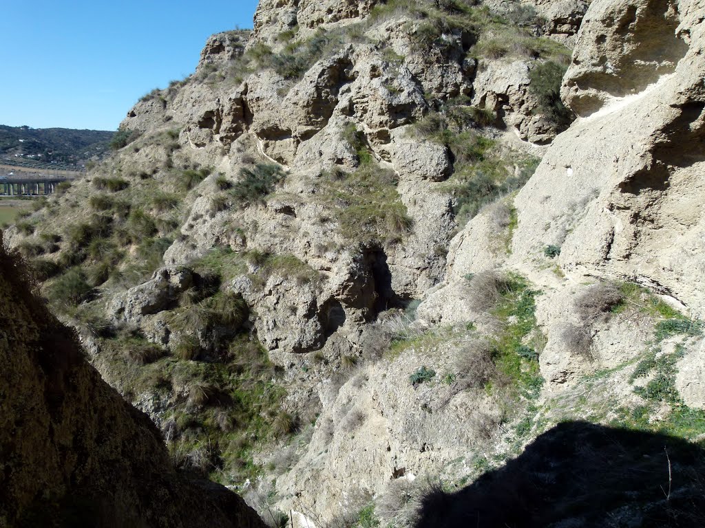 PERALES DE TAJUÑA (Madrid). 2015. 29. Risco de las Cuevas. Detalle. by Carlos Sieiro del Ni…