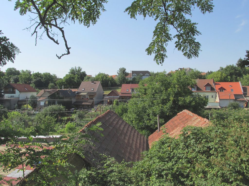 201507050923 Egri panoráma, a Farkasvölgy utca felől by Harmadik