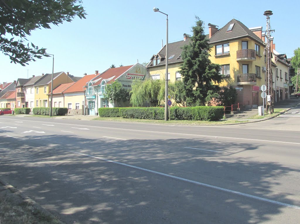 201507051011 Eger, Mátyás király út, a Széna térnél by Harmadik